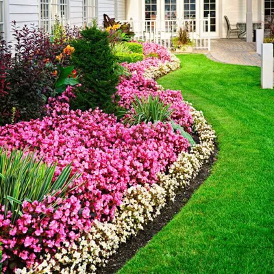 J&T landscaping plus