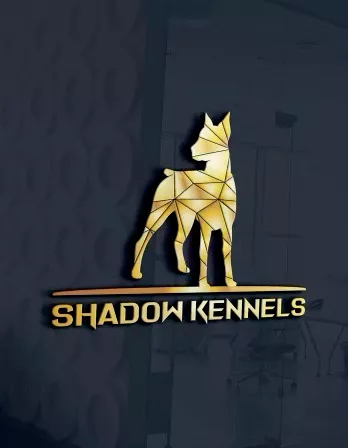 Shadow Kennels