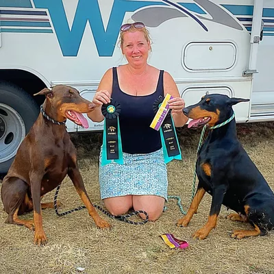 Day Hill Dog Training & Boarding