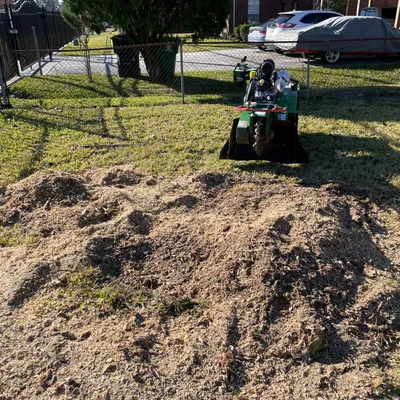 F&J Stump Grinding