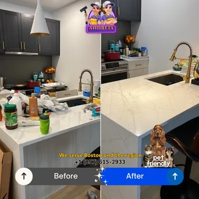 Andreia cleaning services and personal organize