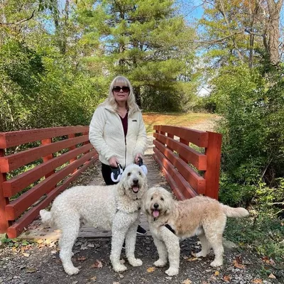 Fetch! Pet Care of Loveland