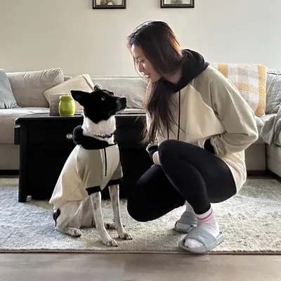 Abby’s Pet-igree