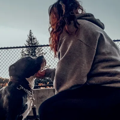 Anything's Pawsible Dog Training