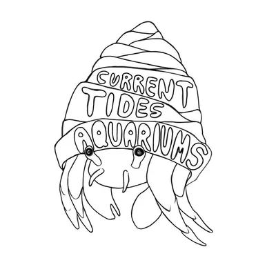 Current Tides Aquariums