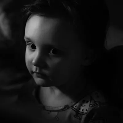 Stephen Evans Photography