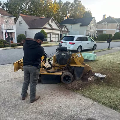 Atl Stump Grinding