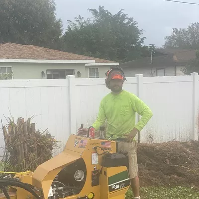 Seaview Stump & Tree Removal