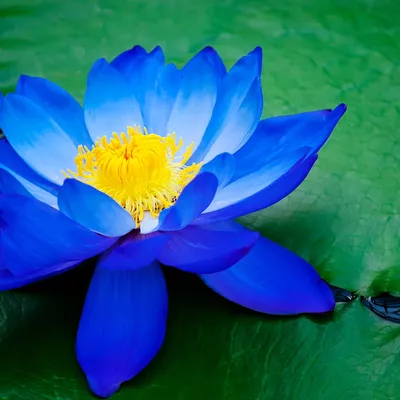Mindfulness healing