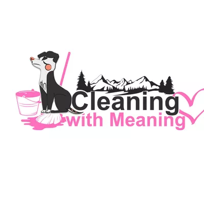 Cleaning with Meaning
