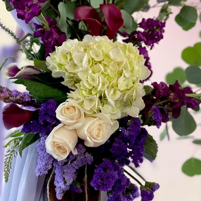 Toeaina Events & Designs
