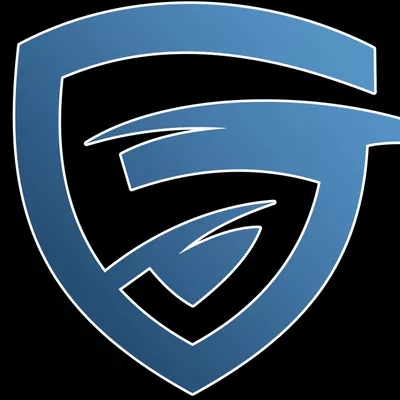 The Strategy Warrior Consulting Services