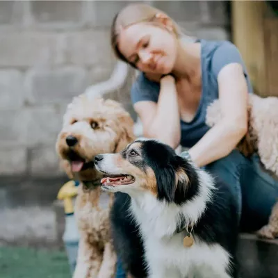 Benny's Best Dog Training