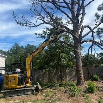 No Excuses Tree Service