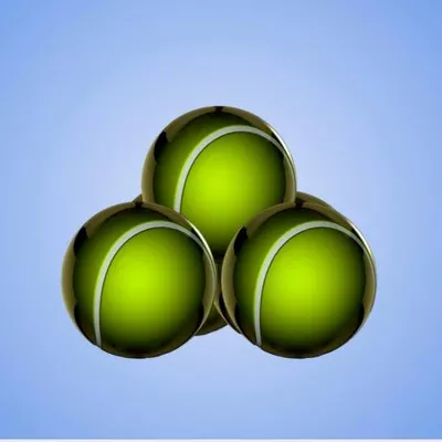 The Winter Garden Tennis Academy