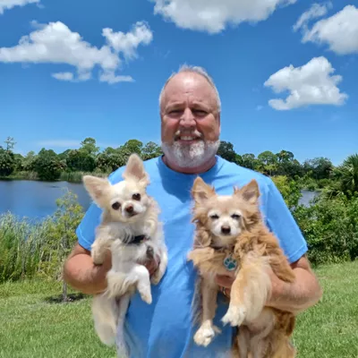 Poochie Pals Dog Walker & Pet Sitter - Birds too!