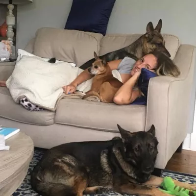 Pawfect Pet and House Sitting