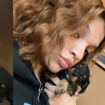 Destiny’s dog care