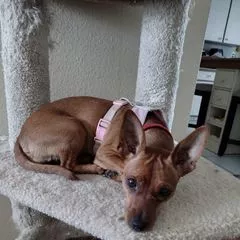 Spoiled Rotten!
