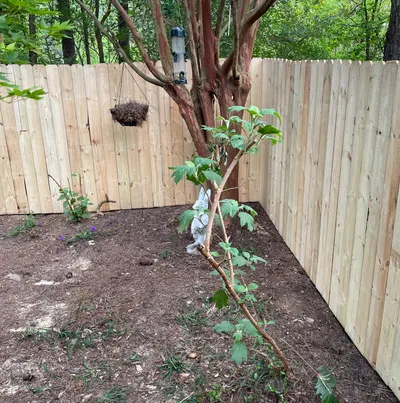 Professional Privacy fences and decks