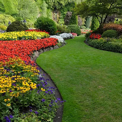 Rosales Lawn Care
