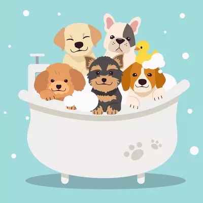 Bath time