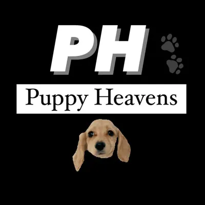 Puppy Heavens