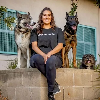 Groovy Paws Dog Training