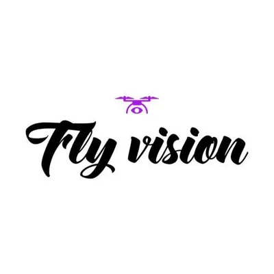 Fly Vision