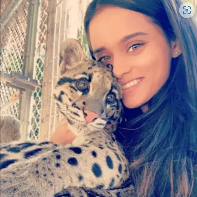 Pawsitive Paws Petcare