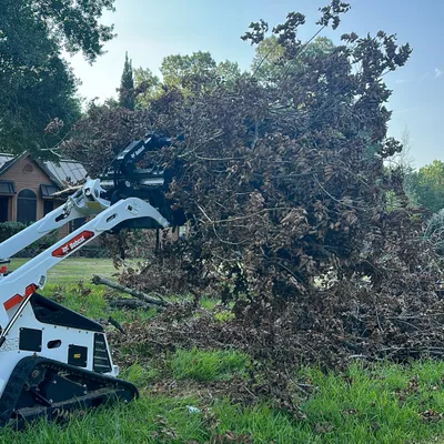 MBC Tree Service