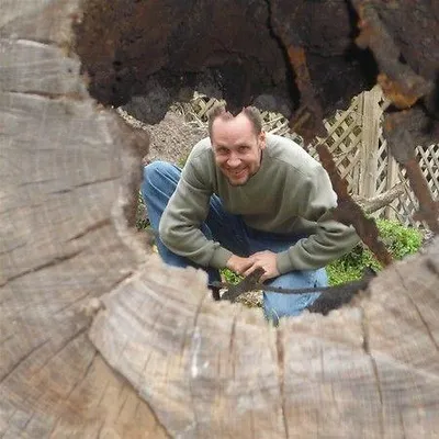 RemoveMyStump, LLC
