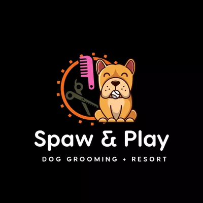 Spaw & Play