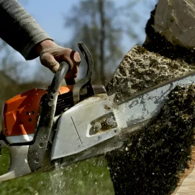 Walser Tree Service