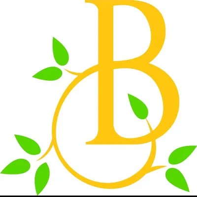 Boston Outdoor Solutions LLC.