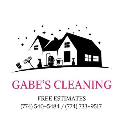 Leidiane cleaning services