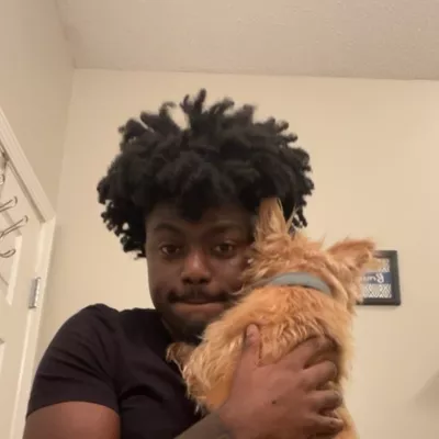 Telliis Pet Services