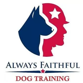 Always Faithful Dog Training Tampa