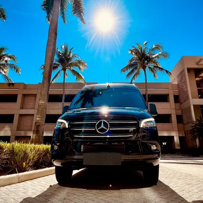 MiamiD'luxe