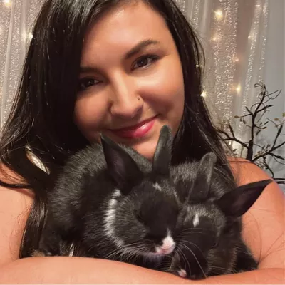 Victoria’s pet sitting service’s