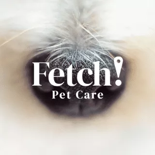 Fetch! Pet Care W. Raleigh-Sanford NC