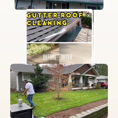 Blooming Garden Landscape