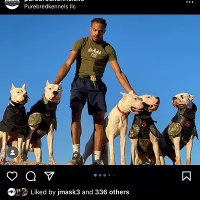 PurebredKennelsLLC