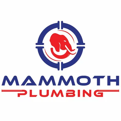 Mammoth plumbing