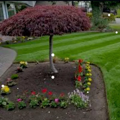 José Martínez @@