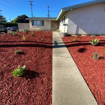 Nicolas landscaping & Gardening