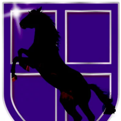 Royal Knight Security