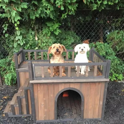 Dog House Boarding & Grooming LLC