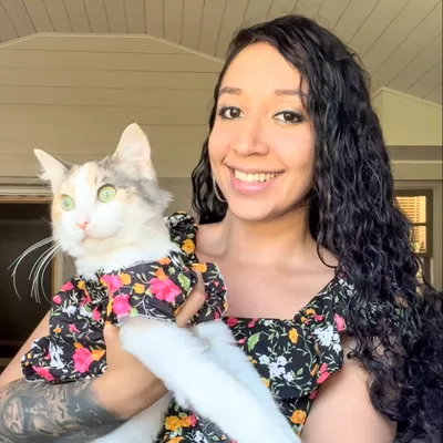 Mama Gatuna Cat Sitting