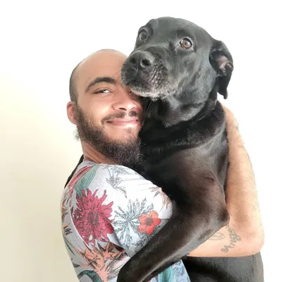 Halls Walk Dogs